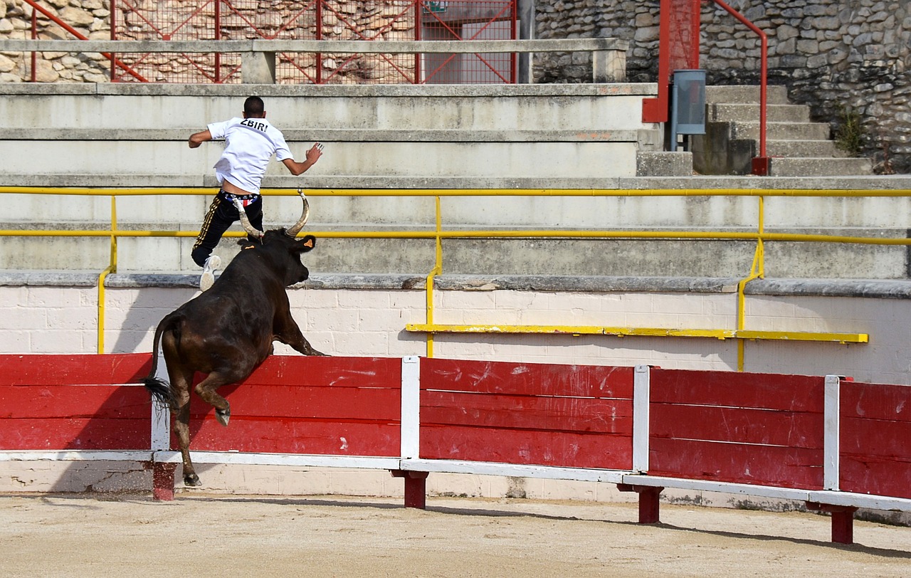 Rodri