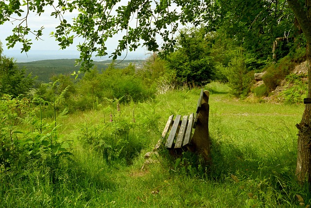 及时做出判 及时做出判