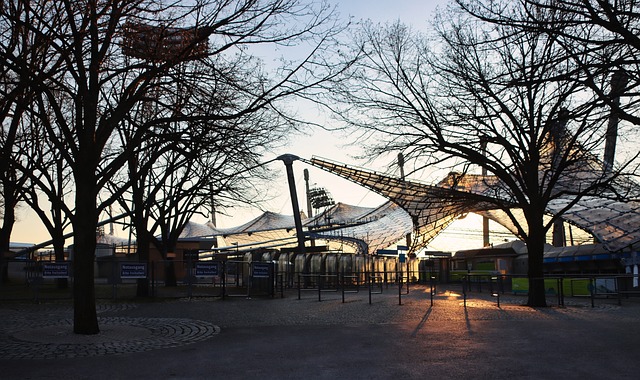 这使得许多 这使得许多