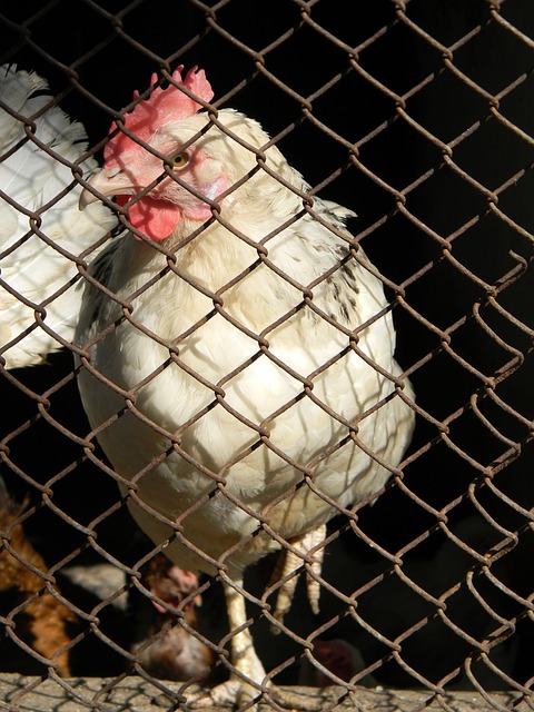 讓人看到的 讓人看到的