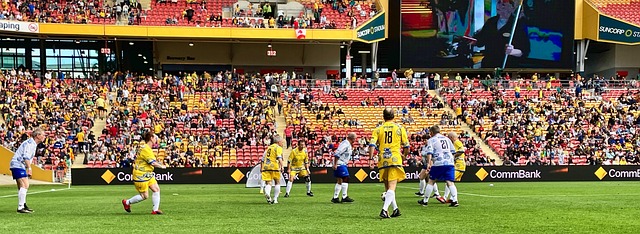 的修复版给 的修复版给