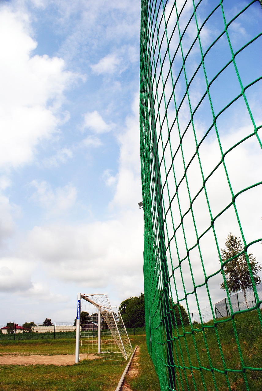 理生态问题 理生态问题