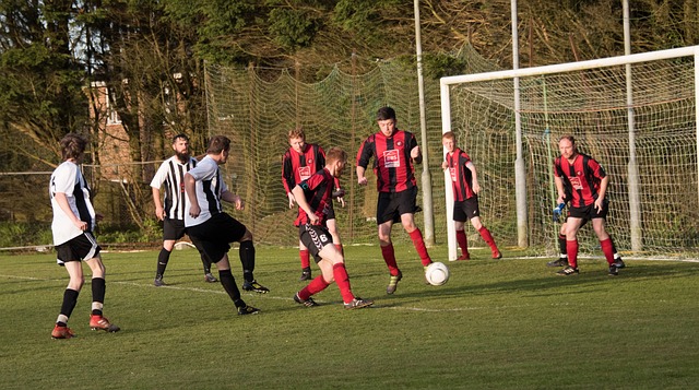 其他曾经历 其他曾经历