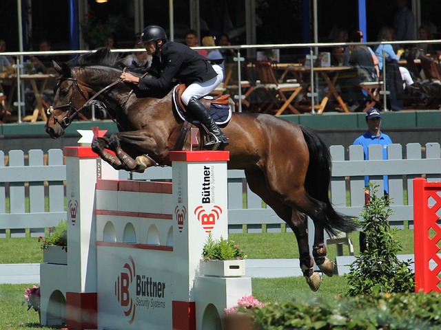 宣告了球队 宣告了球队